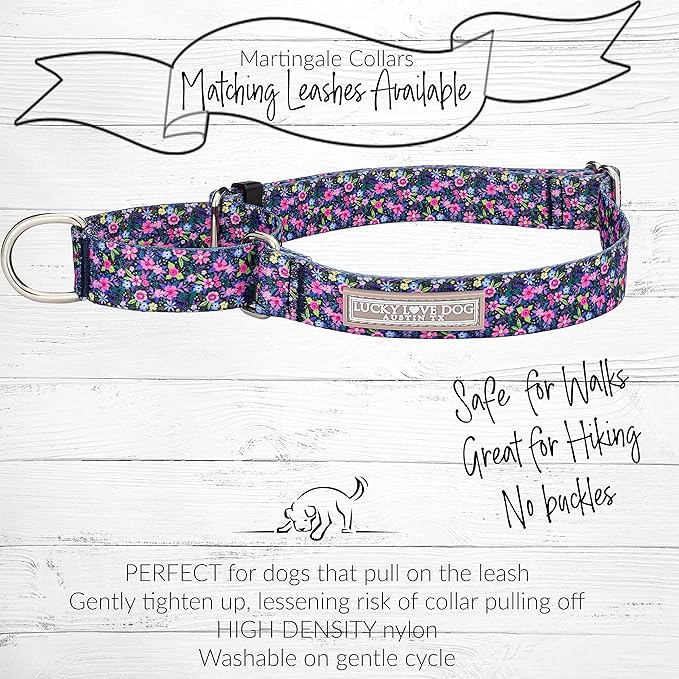 Lucky Love Dog Martingale Collar and Leash Set, Premium No Slip Collar for Large Dogs, Flower Martingale Collar for Girl Dogs, Great for Whippets, Greyhounds, and More (Primrose, Medium - Combo)