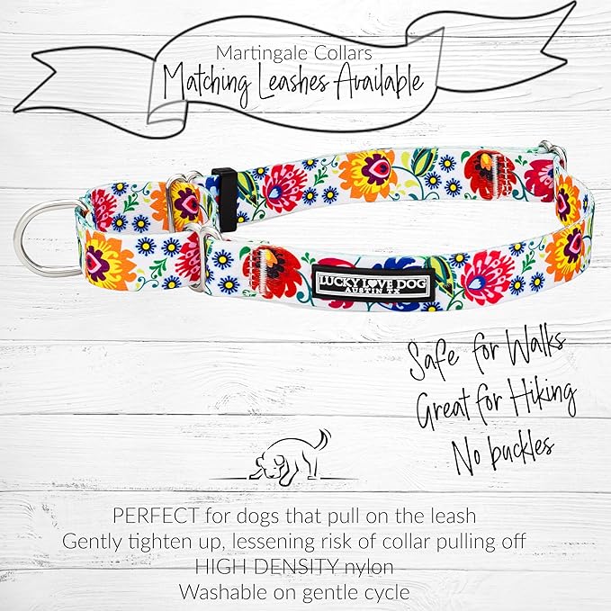 Lucky Love Dog Martingale Collar and Leash Set, Premium No Slip Collar and Leash Set, Vivid Floral Martingale Dog Collar, Great for Whippets, Greyhounds, and More (Ladybird, Small - Combo)