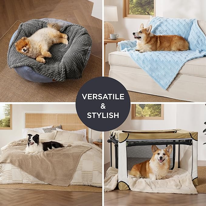 Bedsure 1 Pack 2 Dog Blankets for Small Dogs - 2pcs Washable Soft Fluffy Puppy Blanket with Premium 300GSM Coral Fleece, Cozy Cat Blankets for Indoor Cats, Fuzzy Pet Blanket for Kitten Doggy, Blue