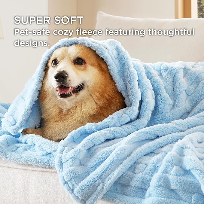 Bedsure 1 Pack 2 Dog Blankets for Small Dogs - 2pcs Washable Soft Fluffy Puppy Blanket with Premium 300GSM Coral Fleece, Cozy Cat Blankets for Indoor Cats, Fuzzy Pet Blanket for Kitten Doggy, Blue