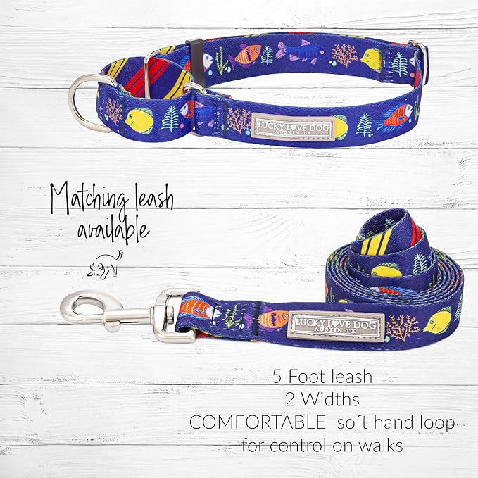 Lucky Love Dog Martingale Collar, Blue Color No Slip Collars for Small Dogs, Tropical Fish Pattern Martingale Dog Collar, Great for Whippets, Greyhounds, and More (Mackey, Small)