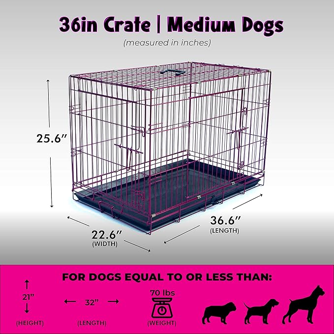 PET Expressions Luxury Colorful 36 Inch Foldable Dog Crate with 2 Doors | Free Training Ebook and Pet Calming Music | 3 Colors & 3