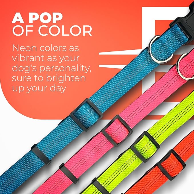 BLAZIN 'Color Me Happy!' Reflective Dog Collar for Day and Night - Adjustable Soft Neoprene Padded Dog Collar in 4 Vibrant Colors - Keeps Dogs Safe and Stylish - for Every Day Use (Small Orange)