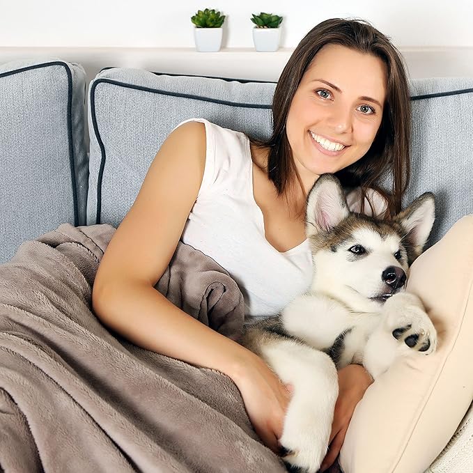 Waterproof Pet Blanket - 60x70-inch Reversible Throw Protects Couch, Car, Bed from Spills, Stains, and Fur - Dog and Cat Blankets by Petmaker (Gray)