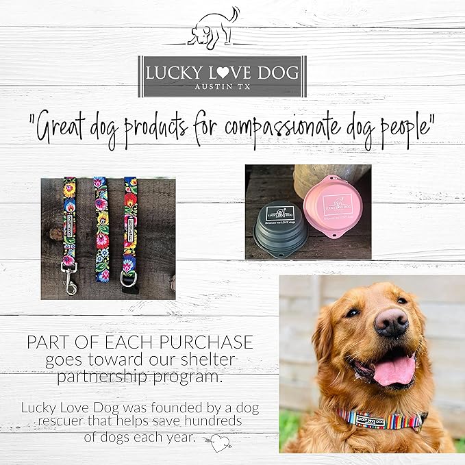 Lucky Love Dog Wide Martingale Dog Collar - No-Slip, Durable, & Soft Webbing 1.5 inch Martingale Collar for Dogs Male and Female - Ideal for Training & Walking, Stylish Ladybird Pattern, X-Large Size