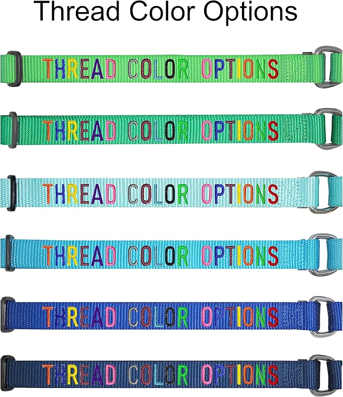 Blueberry Pet Essentials Personalized Martingale Safety Training Dog Collar, Emerald, Small, Adjustable Customized ID Collars for Dogs Embroidered with Pet Name & Phone Number