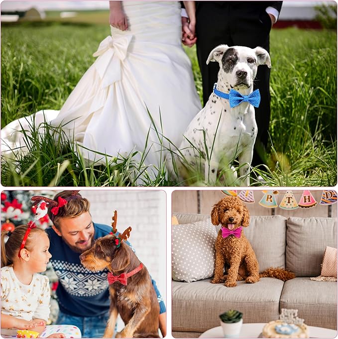 Red Dog Collar with Bow, Bling Bowtie Dog Collar for Puppy Small Dogs and Cats, Cute Walking Boy and Girl Dog Collar (Neck fit 9-12’’)