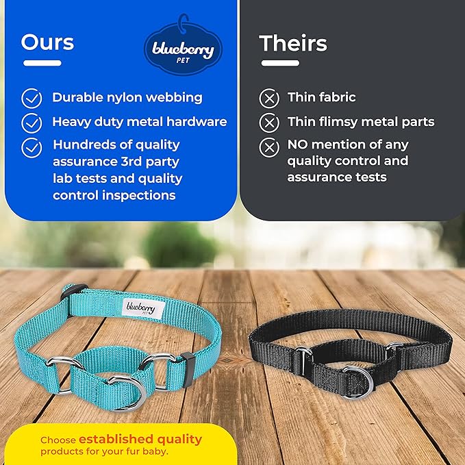 Blueberry Pet Essentials Martingale Safety Training Dog Collar, Blazing Yellow, Small, Heavy Duty Nylon Adjustable Collars for Dogs