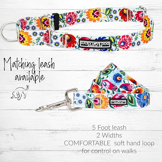 Lucky Love Dog Martingale Dog Collar - Adjustable, No-Slip, Durable, & Soft Webbing Dog Collar for Male and Female Dogs Ideal for Training & Walking - Stylish Ladybird Pattern, Large Size