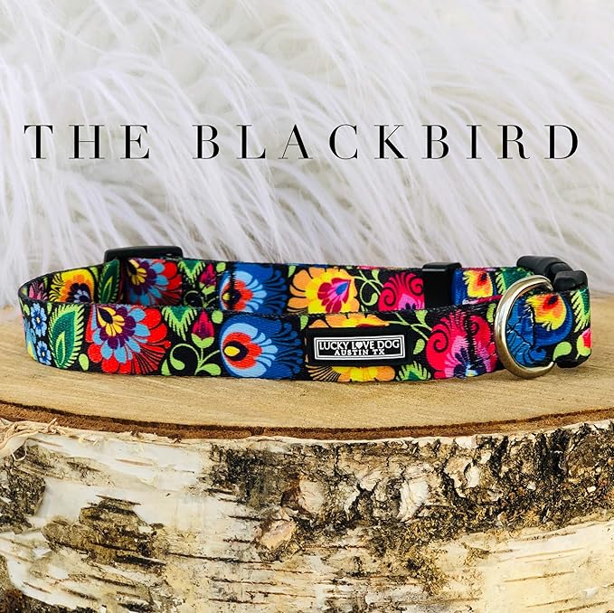 Lucky Love Dog - Adjustable Dog Collar with Easy Click Buckle for Small to Large Dogs, Durable, & Comfortable Collar for Male & Female Dogs, Pet Collar for Puppies & Adult Dogs - Blackbird, X-Small