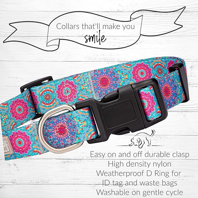 Lucky Love Dog, Boho Chic Dog Collar for Girl Boy Dogs, Vivid Pink and Turquoise Collar for Dogs, Comfortable, Soft, Cute Collars - (Large, Clara Collar)