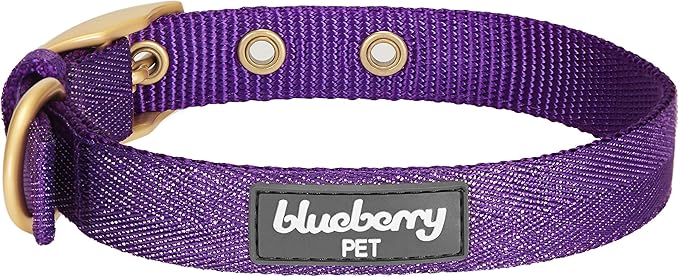 Blueberry Pet 6 Colors The Most Coveted Designer Mixed Metallic Thread Adjustable Dog Collar in Dazzling Tinsel Purple with Metal Buckle, Neck 9-12.5", for Small Breed