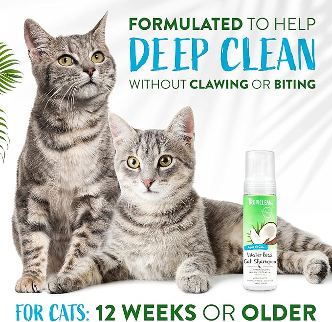 TropiClean No Rinse Waterless Cat Shampoo | Dandruff Treatment | Moisturizing Dry Shampoo for Dry Skin | USA Made | Aqua de Coco Scent | 7.4oz.