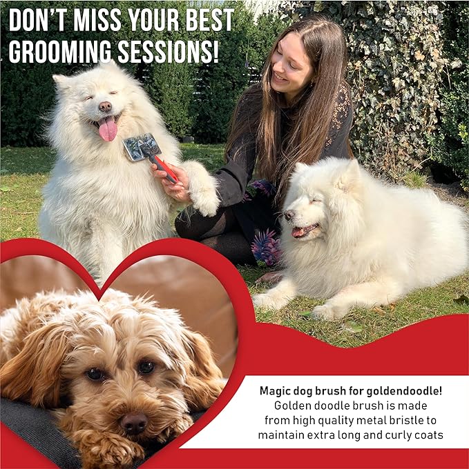Slicker Brush for Dogs With Coated Tips - Extra Long Pins Removes Tangles - Doodle and Goldendoodle Brush Goes Deep Into Undercoat - Golden Retriever Brush for Shedding - Cepillo Para Perros
