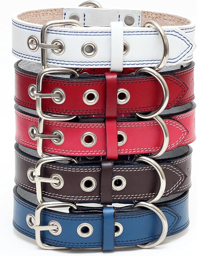 Premium Leather Collars with Stainless Steel Buckles (21"-24", Blue)