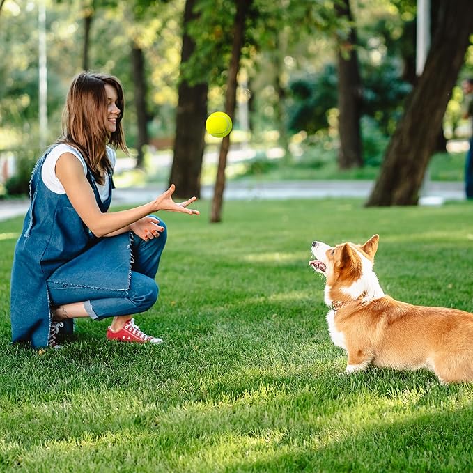 PrimePets Toys for Dogs, 2.5 Inch Dog Toys, Interactive Pet Dog Toy Balls for Medium, Large Dogs,Tennis Balls for Dogs