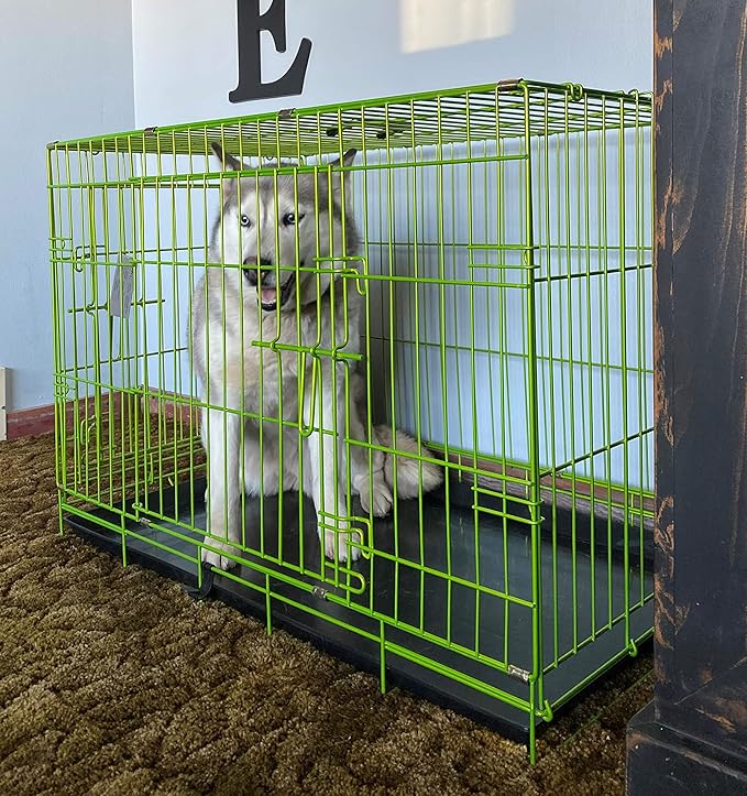 PET Expressions Luxury Colorful 48 Inch Foldable Dog Crate with 2 Doors | Free Training Ebook and Pet Calming Music | 3 Colors & 3