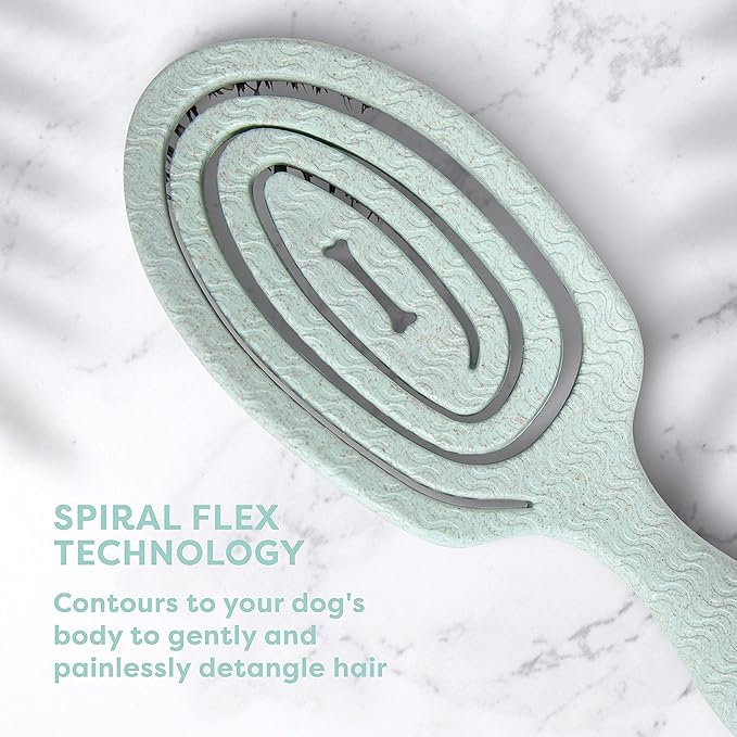 for Dogs Eco-Friendly Boar Hair Bristle Brush in Mint Green | Easy to Hold Ergonomic Handle Dog Brush for Shedding | Best Pet Brush for Dog Grooming