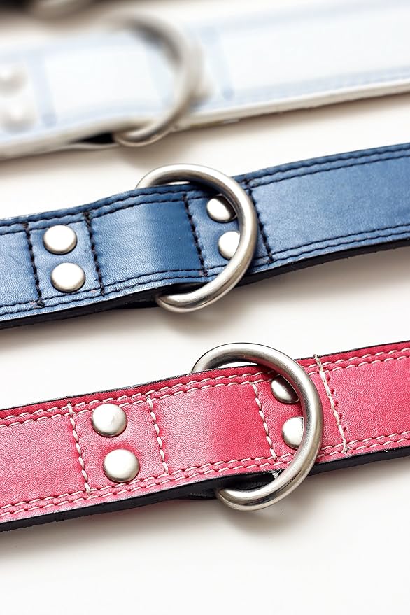 Premium Leather Collars with Stainless Steel Buckles (18"-21", Chocolate)