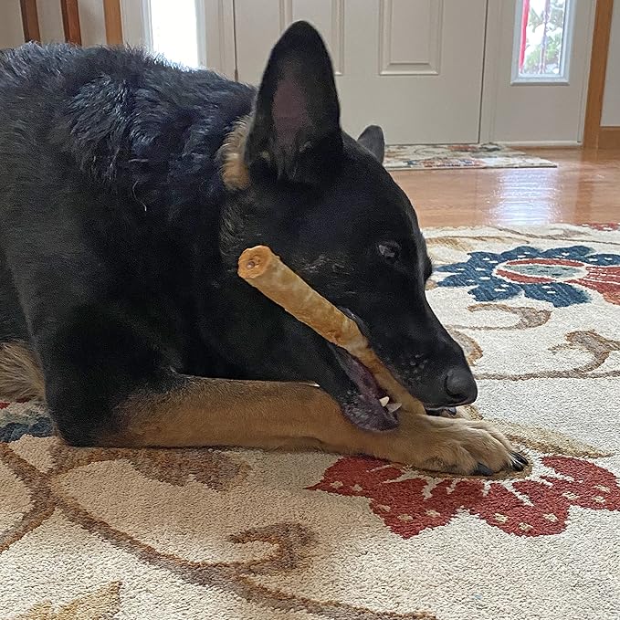Fieldcrest Farms Nothing to Hide Natural Rawhide Alternative Large 10'' Rolls for Dogs - 3 Pack (6 Chews) Premium Grade Easily Digestible Chews - Great for Dental Health (Peanut Butter)