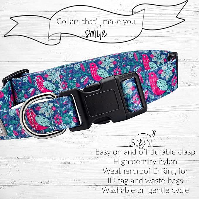 Lucky Love Dog, Whimsical Bird Dog Collar, Vivid Pink, Mint, Blue Flowers X-Small Dog Collar, Adjustable Collars for Female Male Dogs - (XS, Carriebelle Collar)