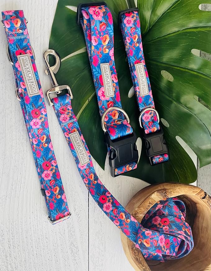 Lucky Love Dog Wide Dog Collar - Adjustable, Durable, Soft Webbing, & Comfortable 1.5 inch Wide Collar for Dogs Male and Female - in Zuzu Pattern with Strong Buckle, Medium Size