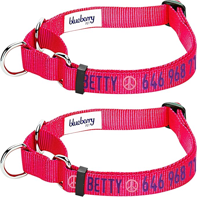 Blueberry Pet Essentials Personalized Martingale Safety Training Dog Collar, French Pink, Small, Adjustable Customized ID Collars for Dogs Embroidered with Pet Name & Phone Number