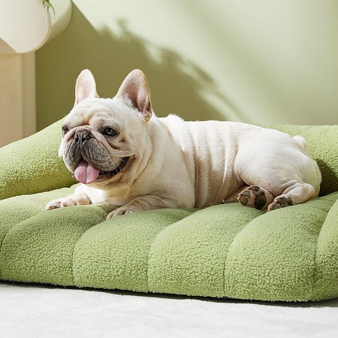 Lesure Orthopedic Dog Bed Sofa for Medium Dogs, Waterproof Dog Couch with Removable Washable Cover, Cute Aesthetic Pet Sofa Couch with Egg Crate Foam(28" x 23" x 10", Green)