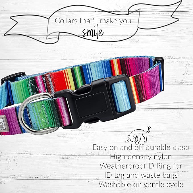 Lucky Love Dog Collars, Rainbow Striped Dog Collar for Big Dogs, Vivid Pattern Girl or Boy Dog Collars, Nacho, Extra Large