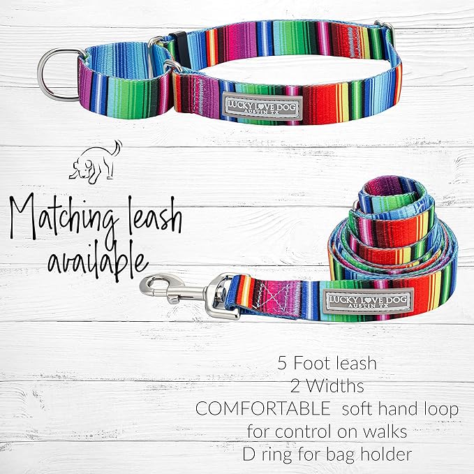 Lucky Love Dog Martingale Collar, Premium No Slip Collar, Colorful Striped Martingale Dog Collar for Small Dogs, Great for Whippets, Greyhounds, and More (Small, Nacho)