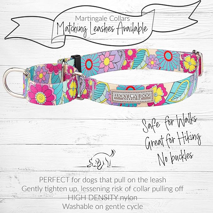 Lucky Love Dog Martingale Collar and Leash Set, Premium No Slip Martingale Collar for Large Dogs, Great for Whippets, Greyhounds, and More (Caroline, Large - Combo)