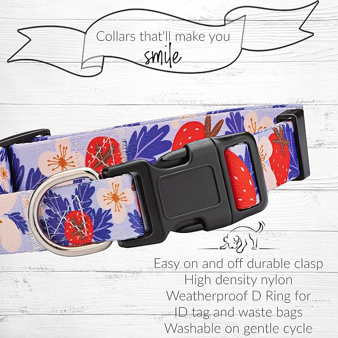 Lucky Love Dog Collars, Strawberry Cute Girl Dog Collar, Small Dog Collars for Females, Part of Purchase Donated to Rescue (Small, Sweet Berry, Collar)