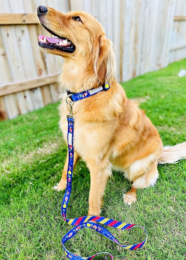 Lucky Love Dog Combo Set, Tropical Fish Dog Leash and Collar Set, Blue Color Matching Dog Collar & Leash, Part of Purchase Donated to Rescue (Large, Mackey, Combo)