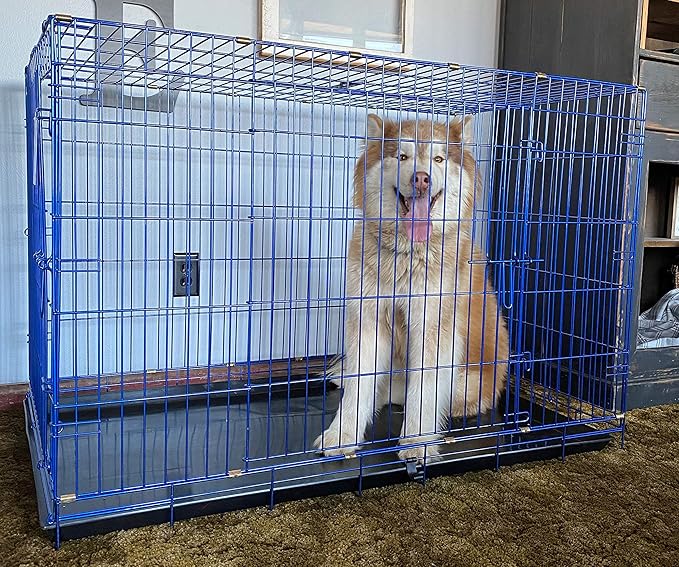 PET Expressions Luxury Colorful 36 Inch Foldable Dog Crate with 2 Doors | Free Training Ebook and Pet Calming Music | 3 Colors & 3