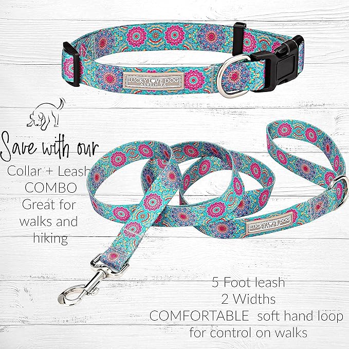 Lucky Love Dog, Boho Chic Dog Collar for Girl Boy Dogs, Vivid Pink and Turquoise Collar for Dogs, Comfortable, Soft, Cute Collars - (Mediuml, Clara Collar)