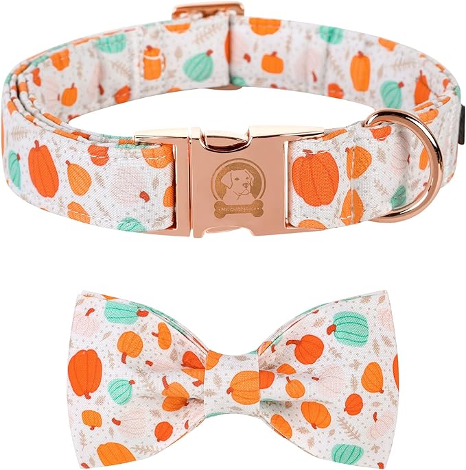 Thoughtfully selected Halloween Dog Collar for dogs and cats, designed with comfort in mind