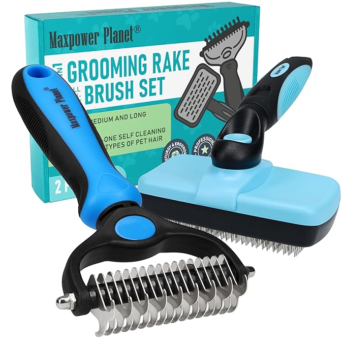 Thoughtfully selected best dog grooming tools for dogs and cats, designed with comfort in mind