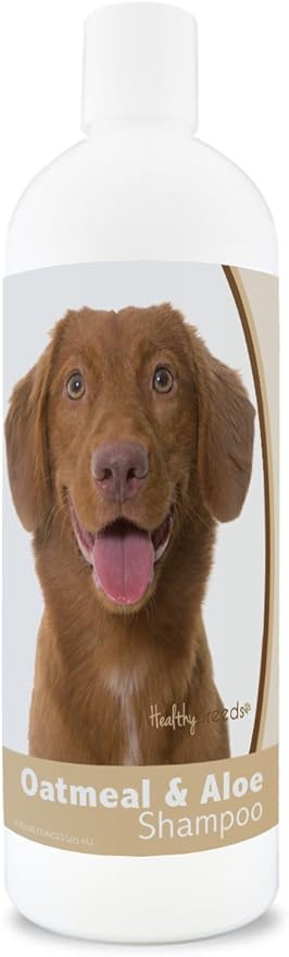 Thoughtfully selected oatmeal shampoo for itchy skin for dogs and cats, designed with comfort in mind
