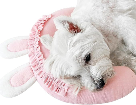 Thoughtfully selected best pet pillows for dogs and cats, designed with comfort in mind