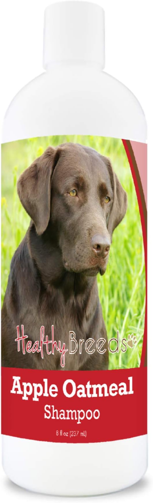 Thoughtfully selected best oatmeal shampoo for dogs for dogs and cats, designed with comfort in mind