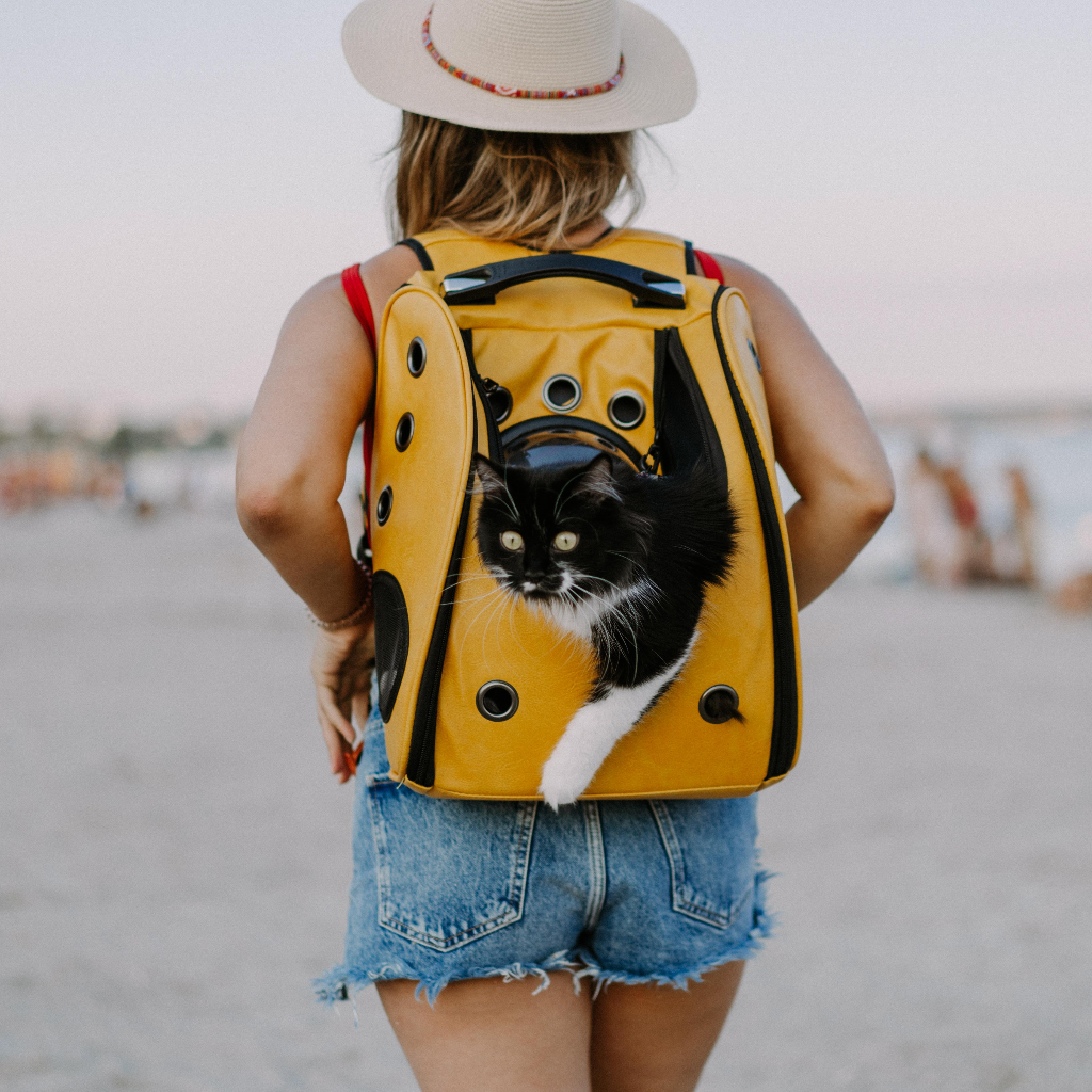 Travel and walking adventure gear for dogs and cats by Pether