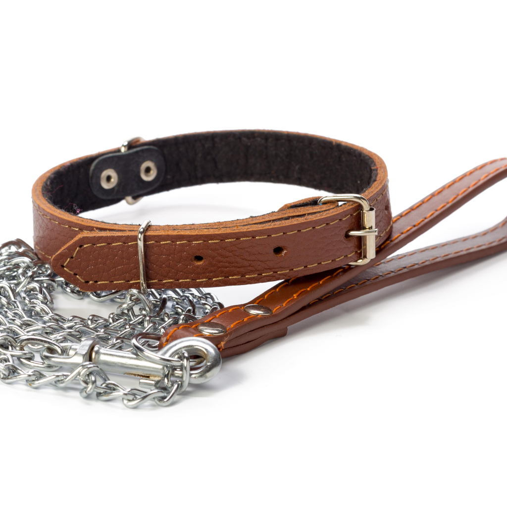 Dog and cat collar and harness collection for safe walking by Pether