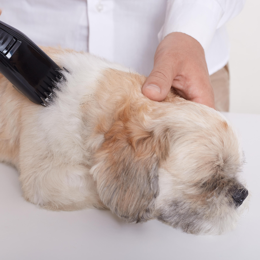Dog and cat grooming collection for multi-pet hygiene care by Pether
