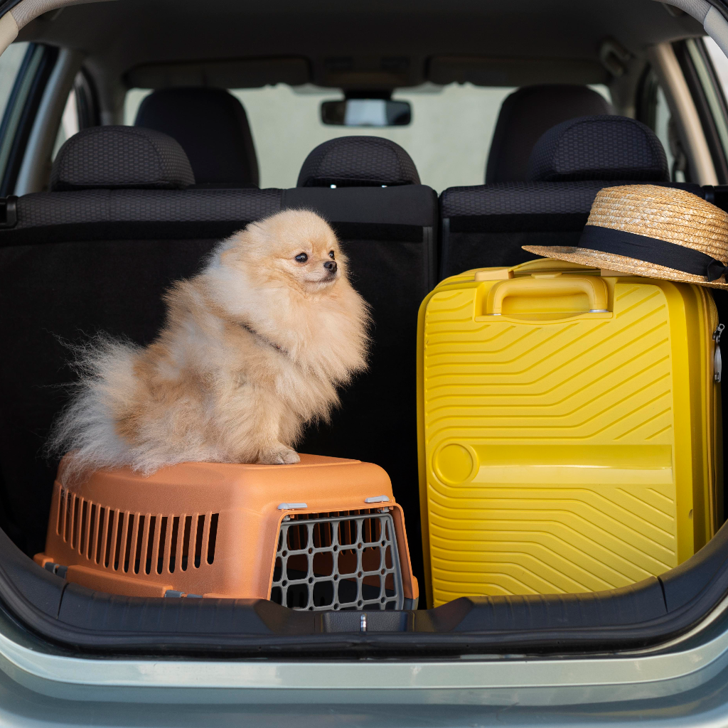 Multi-pet travel gear and carrier collection by Pether