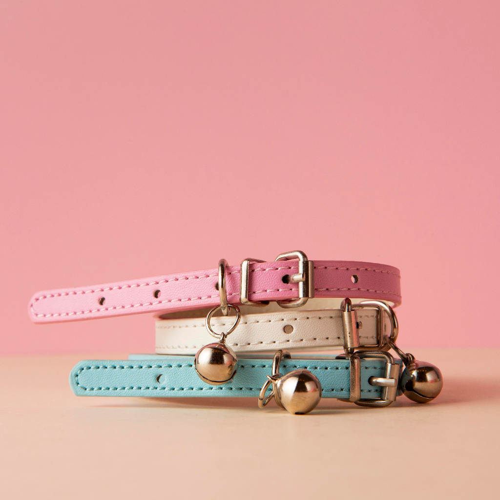 Dog collars, harnesses, and walking gear by Pether