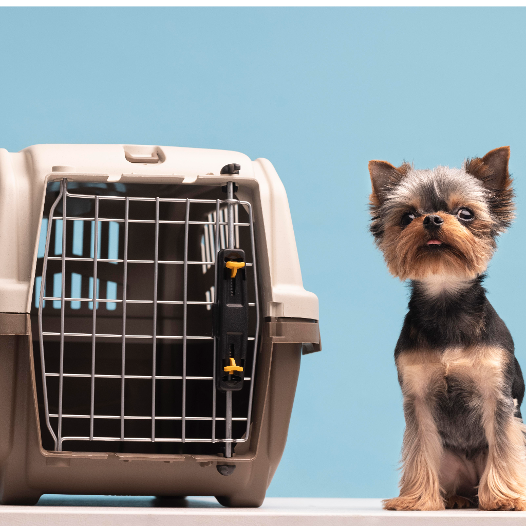 Indoor and outdoor dog crates and houses for safe rest by Pether