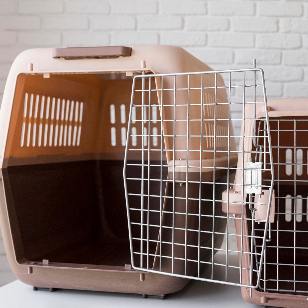 Mobility aids and doors for dogs needing movement support by Pether