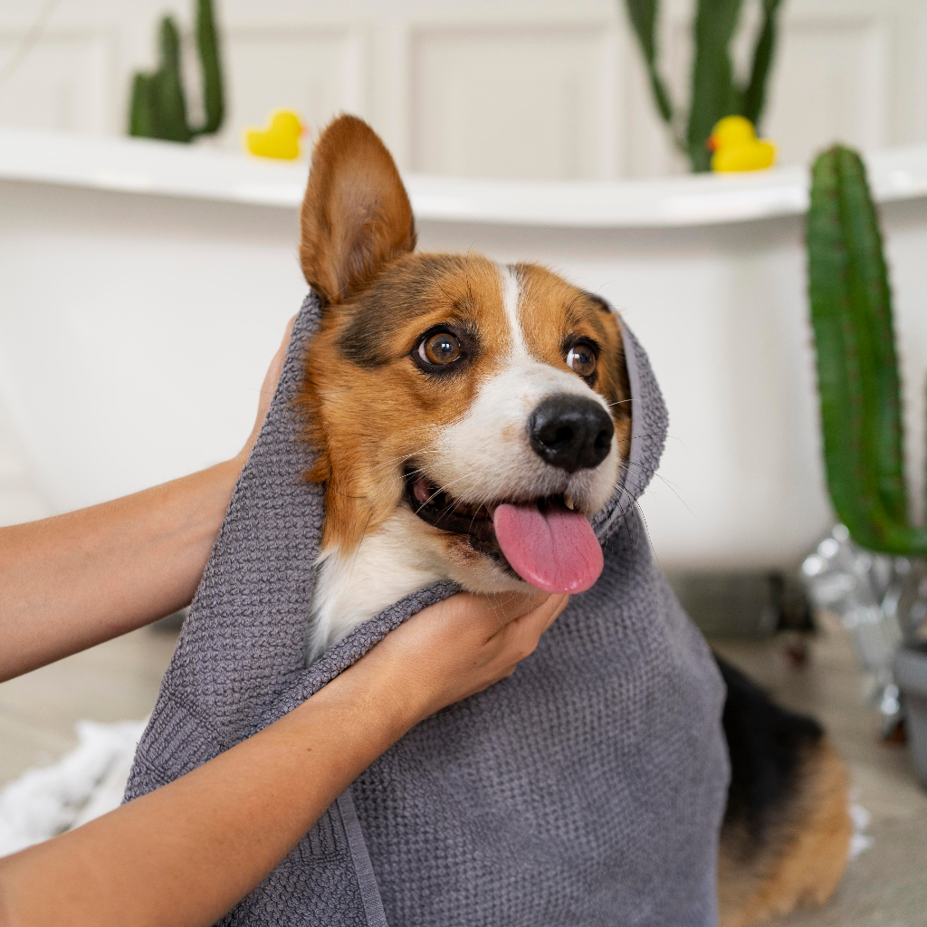 At-home spa grooming products for dogs and cats by Pether
