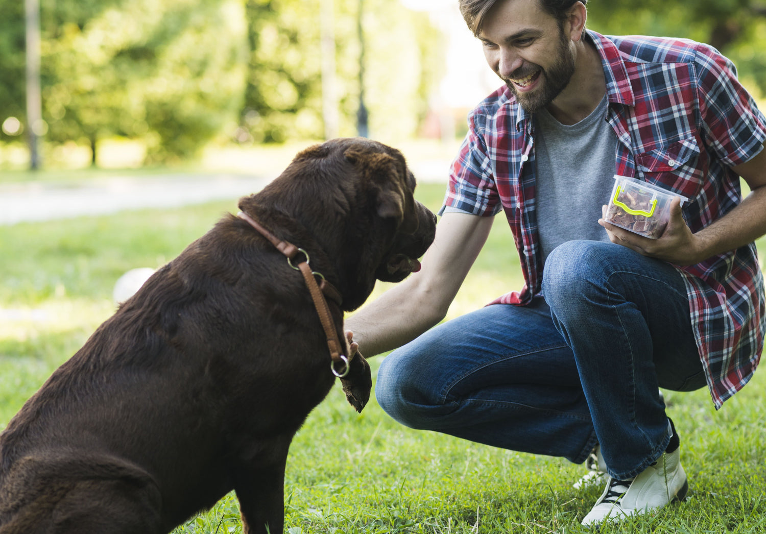 Training-focused pet treat collection for behavior rewards by Pether