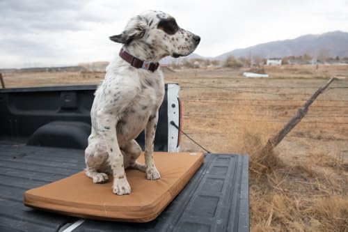 Carhartt Nylon Duck Dog Kennel Pad, Carhartt Brown, Large